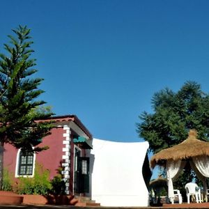 Umbrella Inn
